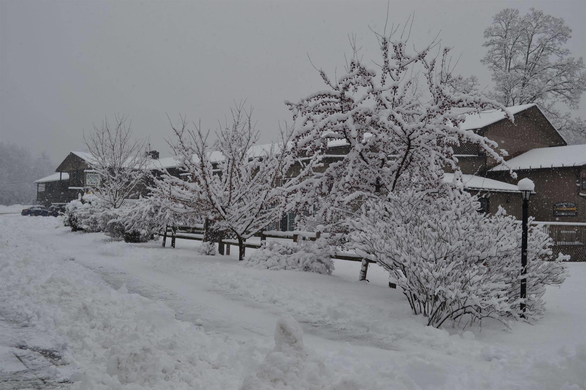 לינקולן Kancamagus Lodge מראה חיצוני תמונה